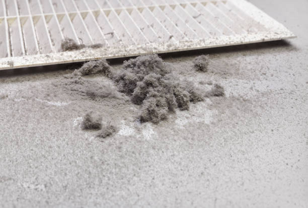 Best HVAC Maintenance and Cleaning  in Greentree, NJ