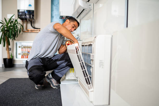 Best Dryer Vent Cleaning Services  in Greentree, NJ