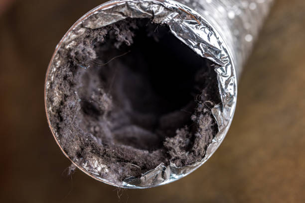 Best Air Duct Cleaning Company Near Me  in Greentree, NJ