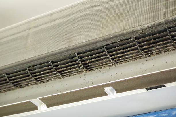 Best Local Air Duct Cleaning Services  in Greentree, NJ